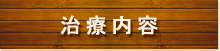 治療内容